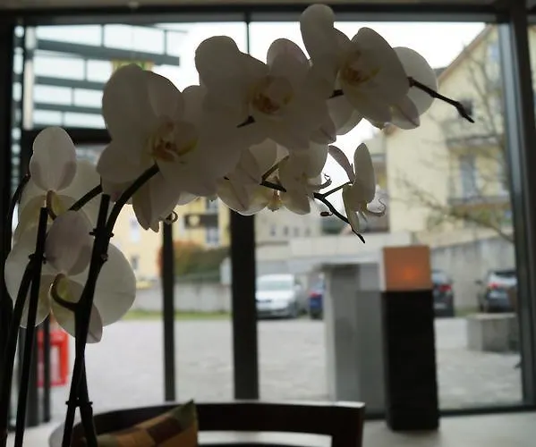 Hotel Nassauer Hof Im Rheingau Kiedrich